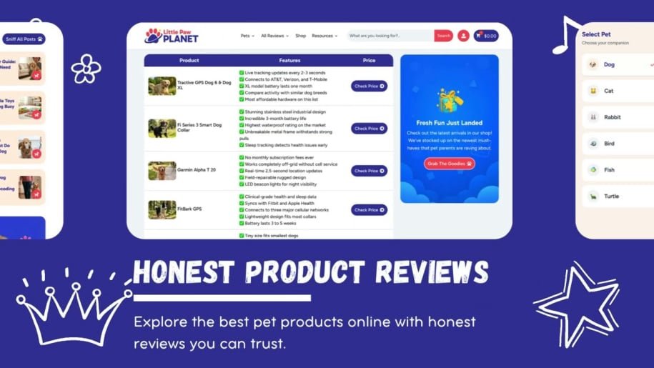 Bonus #1 – DFY Promo Video (Bonus)